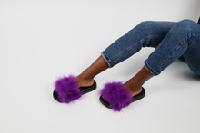 'Royalty' fuzzy slides