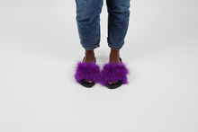 'Royalty' fuzzy slides