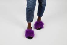 'Royalty' fuzzy slides