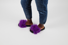 'Royalty' fuzzy slides