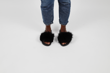 'Starless night' fuzzy slides