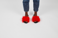'Flaming hot' fuzzy slides