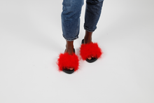 'Flaming hot' fuzzy slides