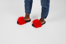 'Flaming hot' fuzzy slides